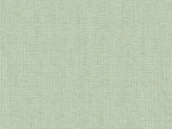 TOC31042 ALGUE