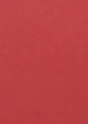 Color Plan Bright Red 5518-270
