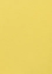 Color Plan Factory Yellow 5547-270
