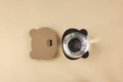 flexy-coaster-10-mf-bear-3