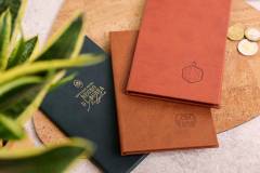 hard-bill-folder-4-mf-olvo-regno-9