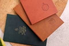 hard-bill-folder-4-mf-olvo-regno-8