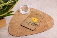 board-bill-folder-3-aura-suites-6