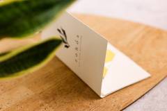soft-bill-folder-2-zohos-9